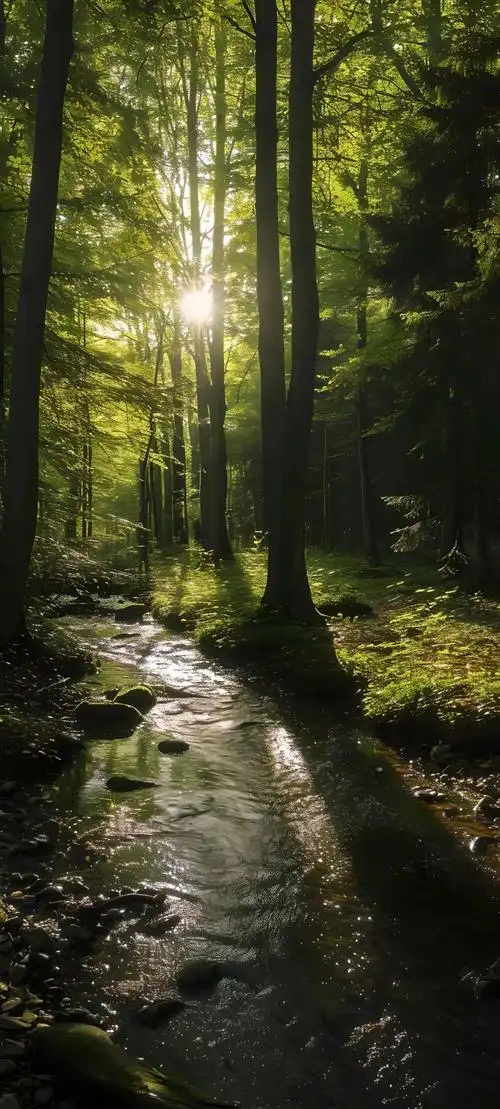 壁纸 风景 森林 桌面 1080_2395 竖版 竖屏 手机