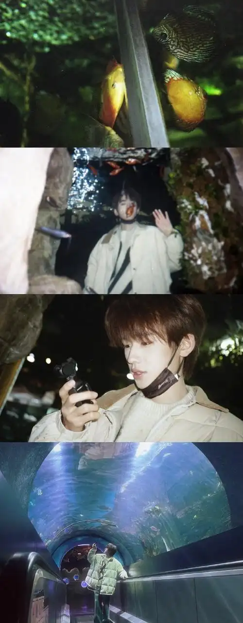 宋亚轩20岁生日企划