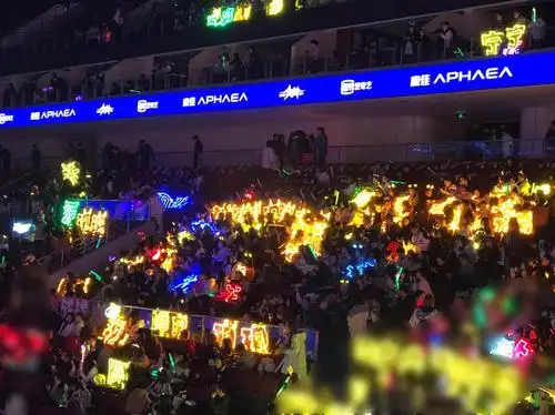 李现爱奇艺尖叫之夜应援图,天现宝宝辛苦了(更新)