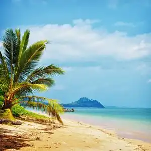 沙滩椰林大海风景头像