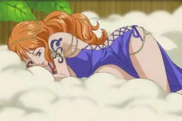 海贼王娜美少儿不宜的镜头娜美福利本子