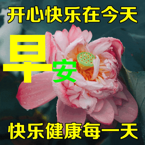 6月17日最新早上好祝福动态表情图片大全早上好问候语句子