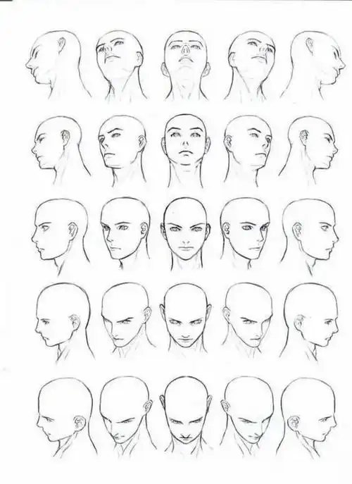 如何正确画好头部?不同角度的头部画法!