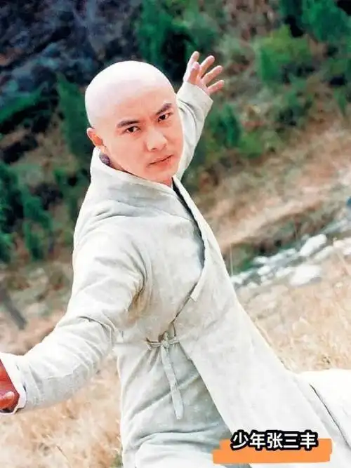 《少年英雄方世玉》,《机灵小不懂》,《少年张三丰》,《方谬神探》