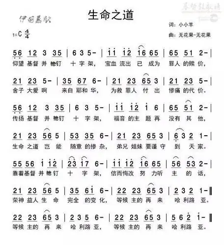 下载生命之道歌谱