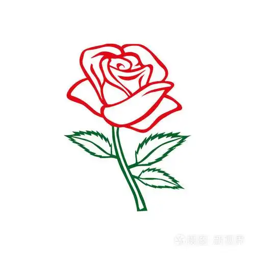 玫瑰的图案.花的设计元素.矢量图.大纲设计优雅的花.