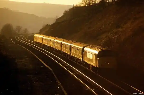 姐妹情谊:一场火车旅程中的感人故事