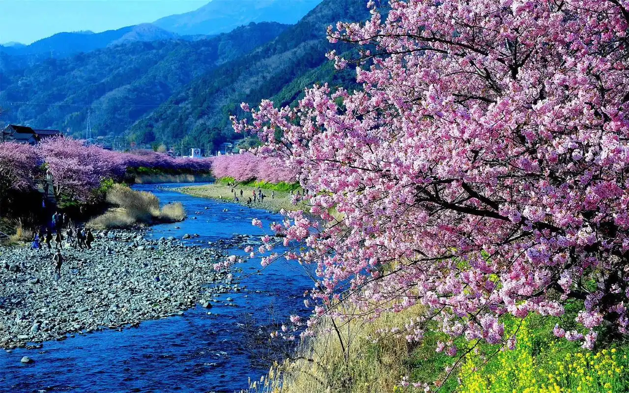 飞机壁纸高清 _第2页 _壁纸素材_百优a精美图库 风景图片大全山水真实