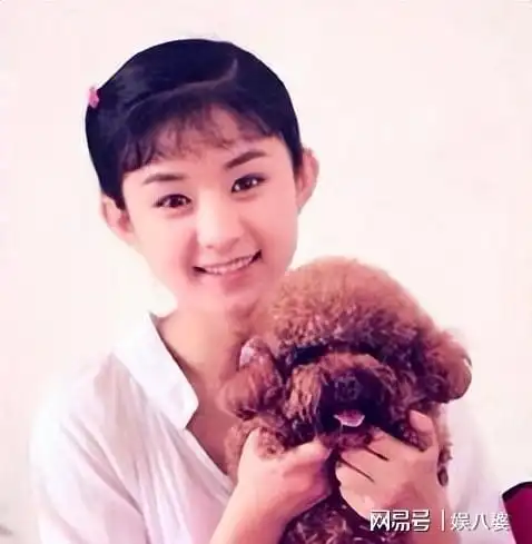 赵丽颖自侃独立到强势分不清是男友或工作人员曾被陈晓拒炒cp