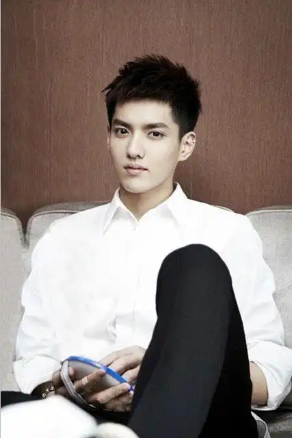 那些年回归的"中韩混血"明星 韩庚吴亦凡领衔