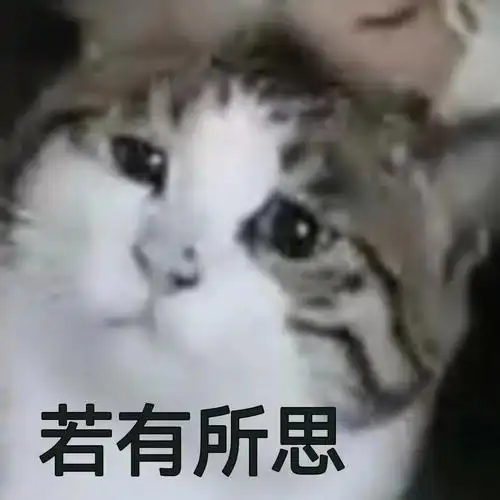 你这个人好奇怪哦