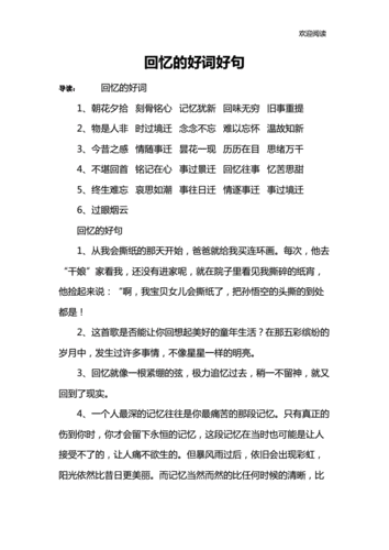 回忆的好词好句docx11页