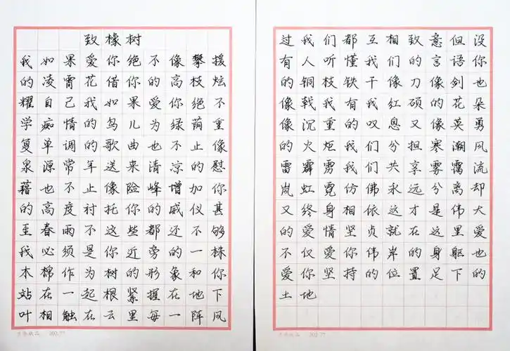 舒婷致橡树钢笔字笔友习作欣赏