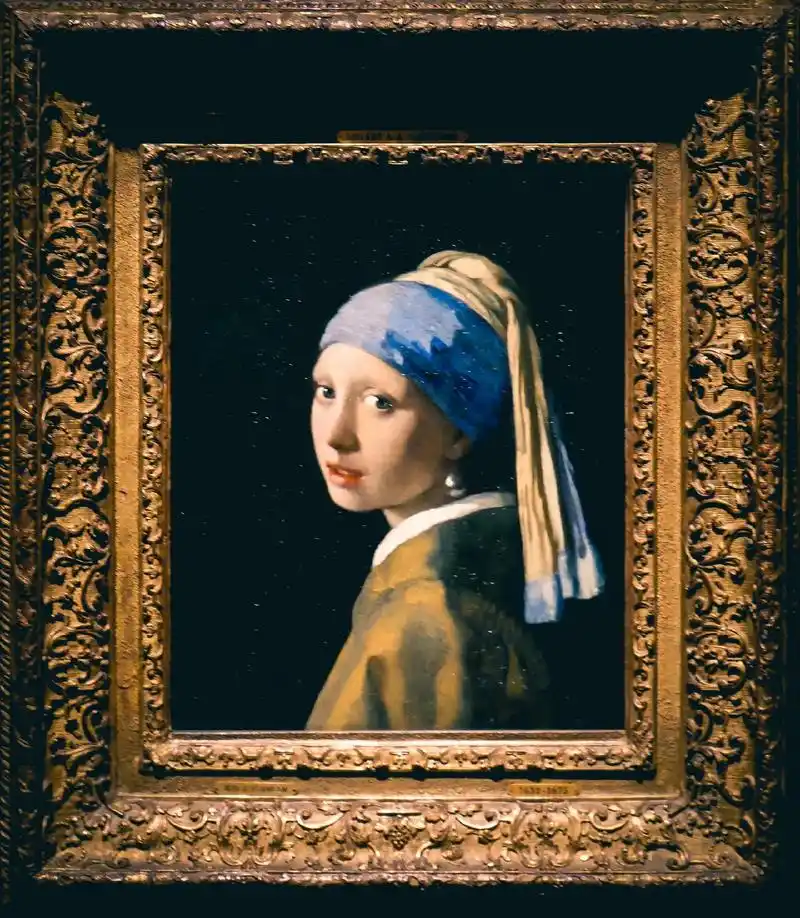 驻足静赏.图一:维米尔《戴珍珠耳环的少女》 图二:法布里修斯 - 抖音