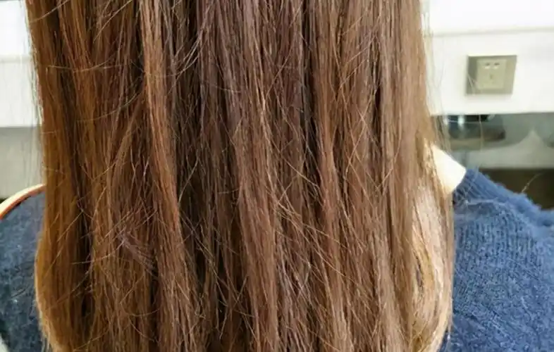 头发沙发是什么意思(怎么判断头发是不是沙发发质)-图3