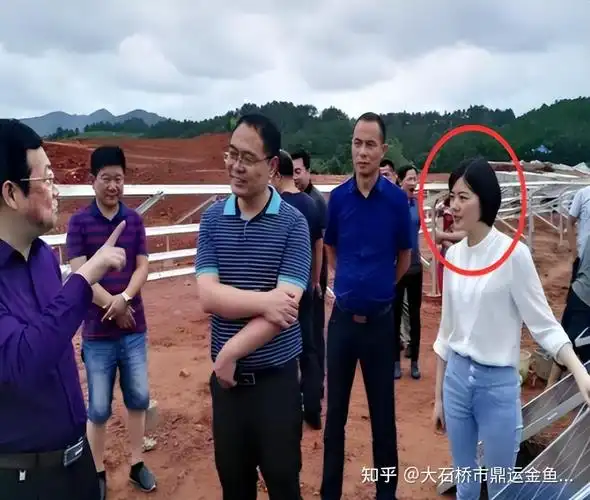 县委书记被举报性侵女下属后续:李佩霞履历曝光,老公是公职人员