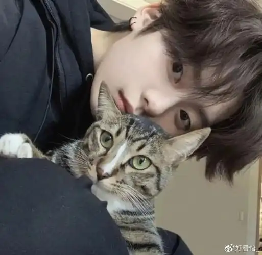 干净气质男生头像男生头像干净帅气自然真人男治愈系干净头像高冷