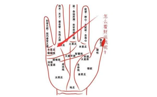 财运线短好还是长好?