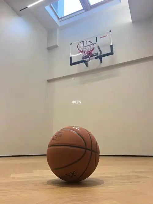 别墅地下室室内篮球场设计