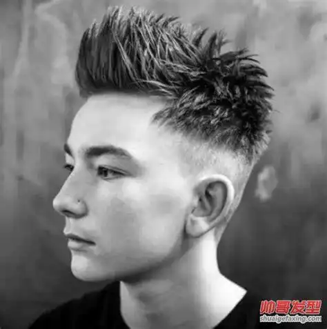 男士短飞机头发型图片男士飞机头发型图片2022已更新今日推荐