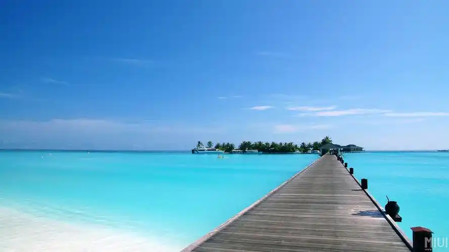 两张漂亮的壁纸