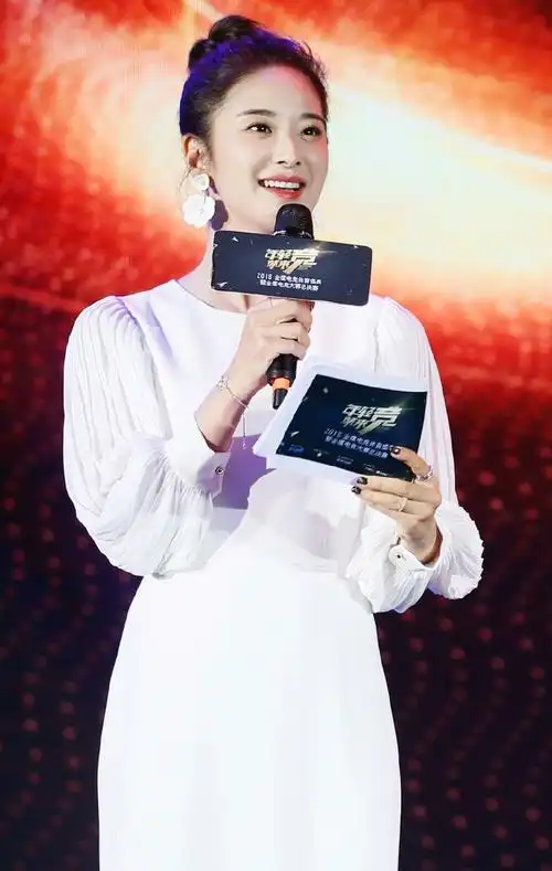 湖南卫视主持人,刘烨图集.