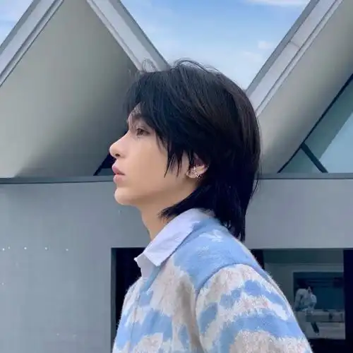 鲻鱼头男短发日系帅气女狼尾头逼真自然学生假毛网红