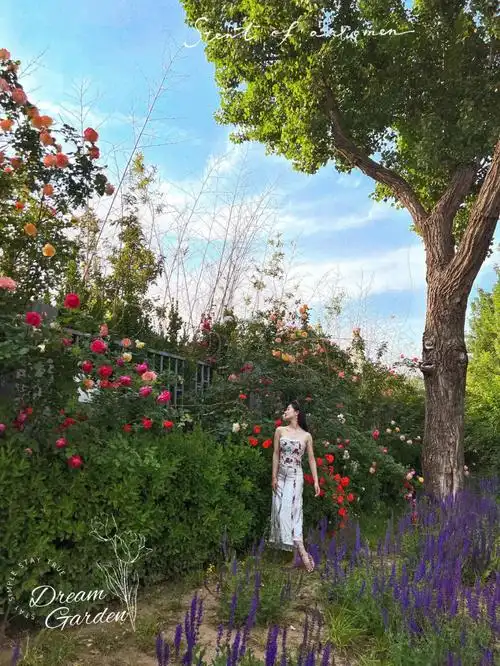 爱丽丝仙境花园