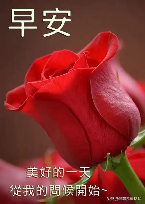 4月26日清晨早上好问候寄语,愿天天好心情快乐每一天!事事顺心