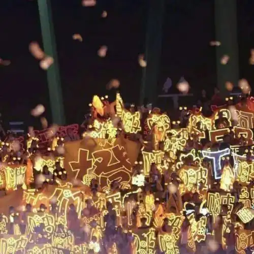 康康帝国的橙海吧