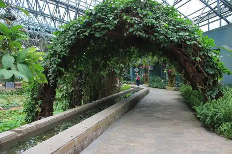 深圳东部华侨城之二:四季植物馆(摄影)