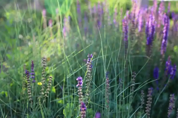 2020抖音最热歌曲排名前十每一首歌代表的心情都不一样