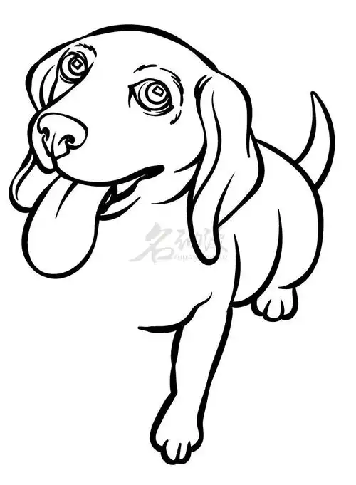 教你画一个卡通动物猎犬