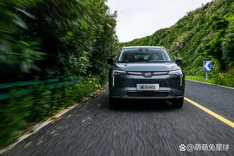 每天了解一辆电车:威马w6 07车型:威马w6 90售价:22.08-28.