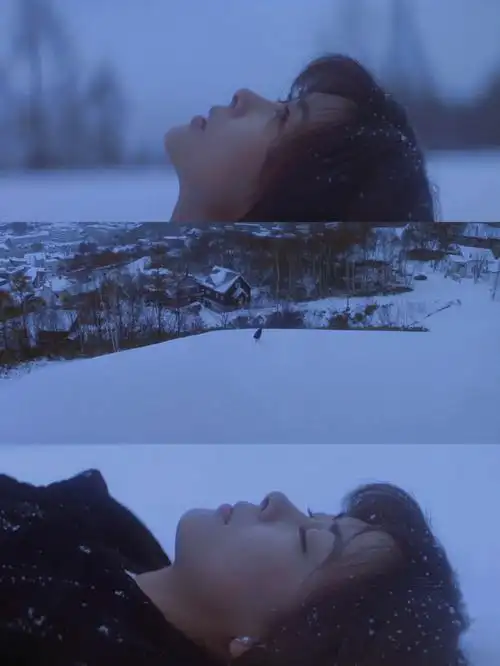 902022年100部电影第三部:《情书》