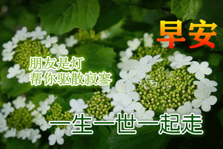 早上好动态表情图片大全早晨好动图美图大全