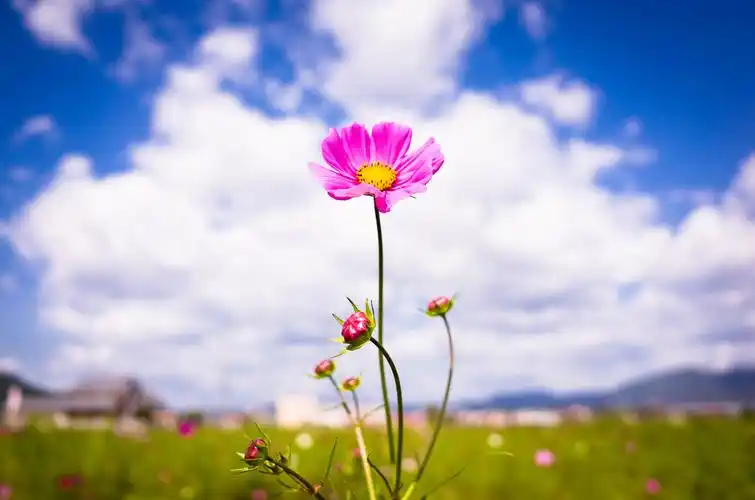 以积极的心态面对每个人,不仅自己快乐,对方也会感到快乐.
