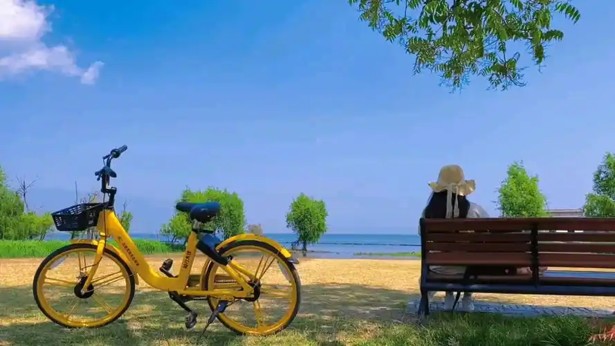 生活明朗,万物可爱.人间值得,未来可期.