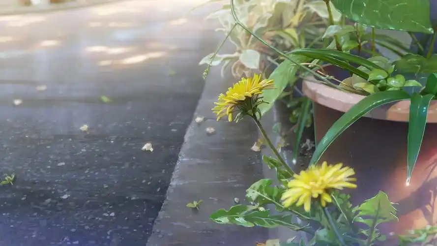 有么有什么壁纸能让ipad横屏和竖屏都合适?