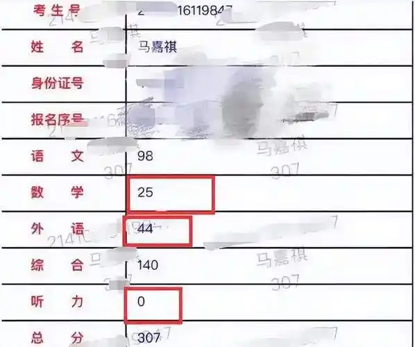 去年马嘉祺高考失利,只考了307分,没有过文化课分数线.
