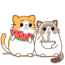 布布喵麦芽黄吃瓜群众吃泡面斗图可爱搞笑不明真相gif动图_动态图