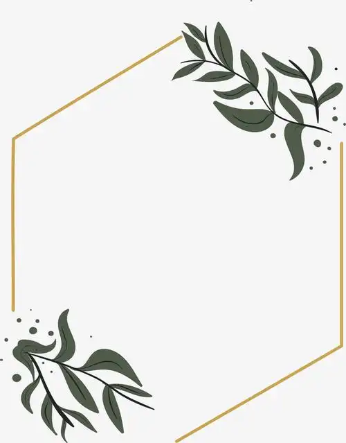 六边形线条边框