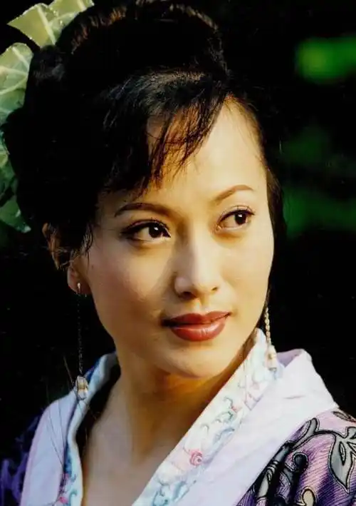 天龙八部胡军版阮星竹