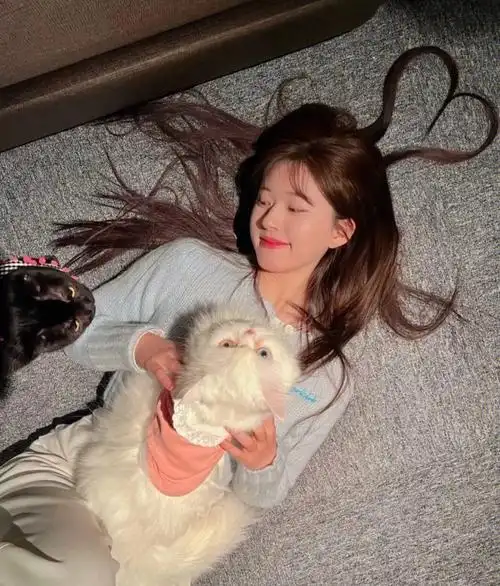 赵露思个性头像qq头像可爱_布阁拉