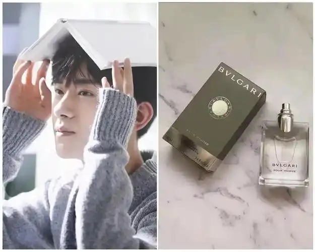 易烊千玺 x 宝格丽大吉岭茶