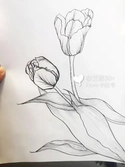 画画的日常  #零基础学画画  #自学画画