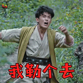 吴磊萧炎我勒个去生气soogifsoogif出品gif动图_动态图_表情包下载