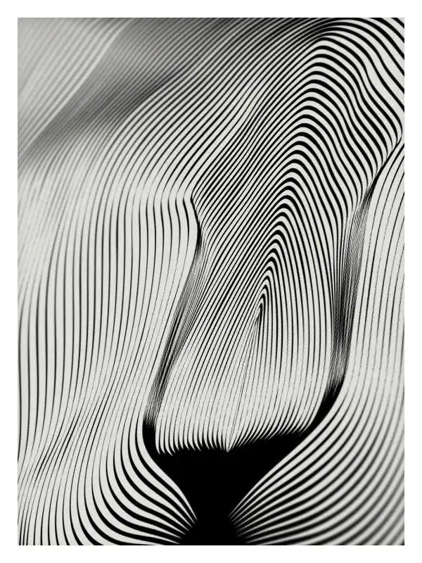 andrea minini创意黑白线条动物插画