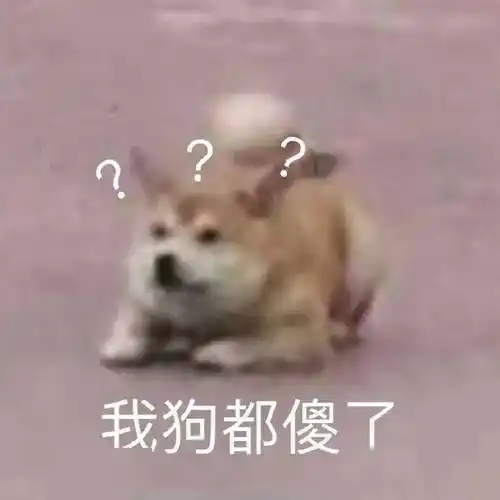 沙雕搞笑表情包:能不能先上dj_公众_黑夜_il