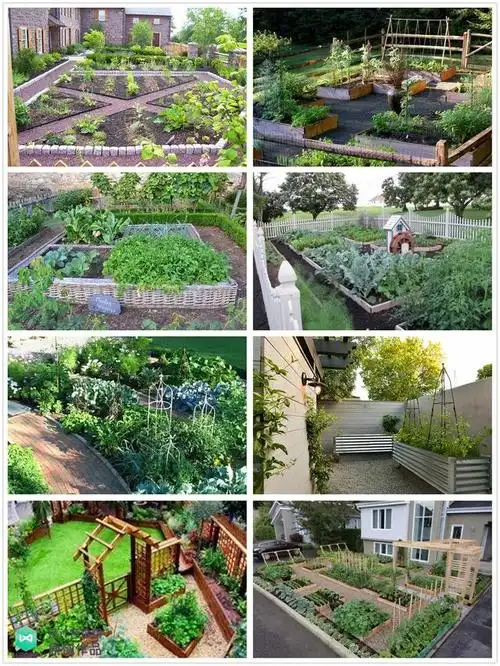 庭院菜园怎么设计最好看264张案例图布置详解简直太实用了